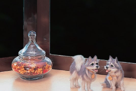 貼り直しできるDIYガラスフィルム 遮熱 ブラック｜ガラスの